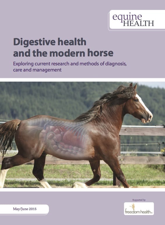 GI-Health-Modern-Horse