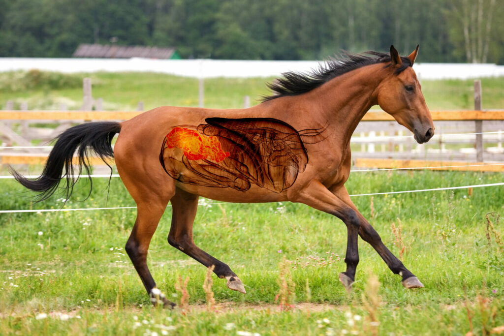 Horse GI Health