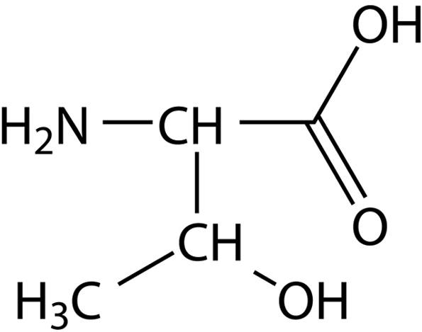 Health Benefits of L-Threonine for Horses